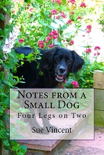 small dog new cover1thumbnail