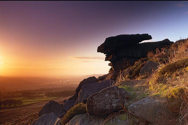 208980_10150977488352852_1247004504_n